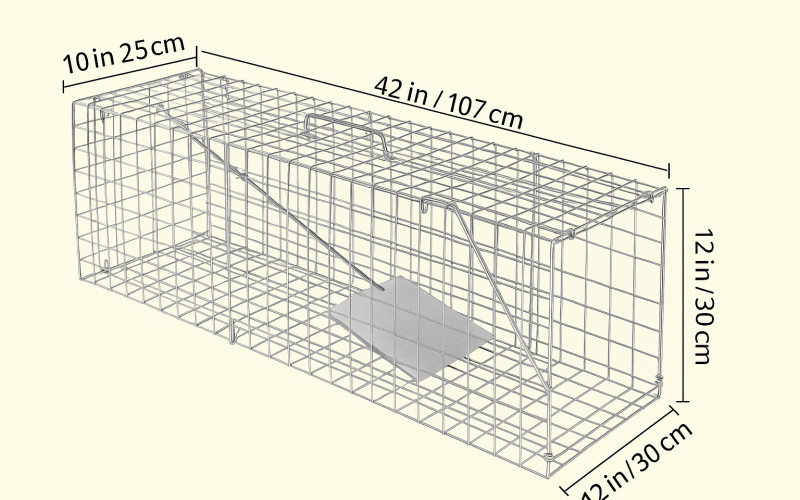 ChatGPT Image 15 sept. 2025, 22_47_36-min